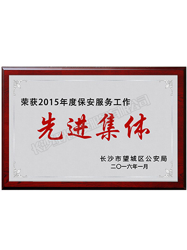 2015年年度先進集體 2015年年度先進集體