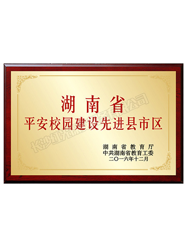 2016年湖南省平安校園建設(shè)先進(jìn)縣市區(qū) 2016年湖南省平安校園建設(shè)先進(jìn)縣市區(qū)